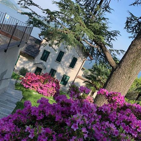Giardini Magnolia Appartement Belgirate Buitenkant foto