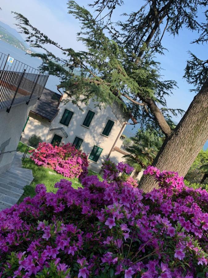 Giardini Magnolia Appartement Belgirate Buitenkant foto