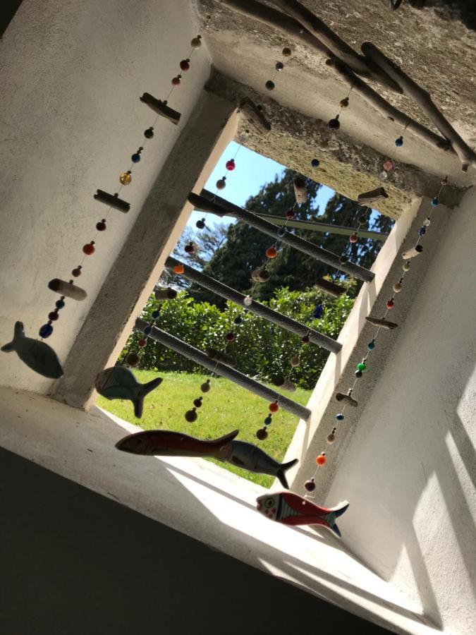 Giardini Magnolia Appartement Belgirate Buitenkant foto